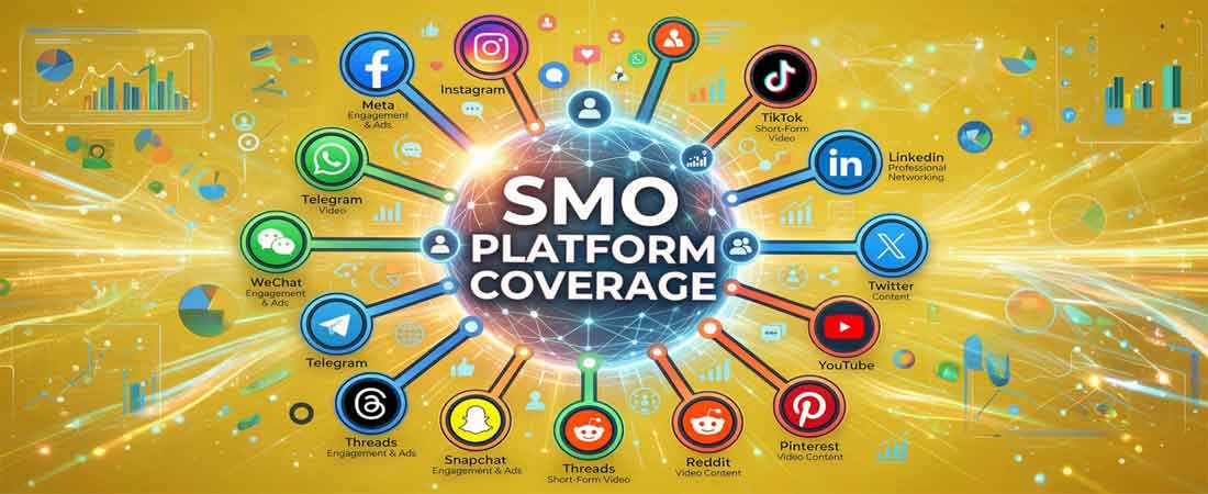 SMO Social Platforms Coverage Delhi NCR India — Instagram Facebook LinkedIn YouTube Twitter Pinterest — Dream N Drive